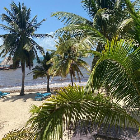 Tranquility Beach Suites Placencia エクステリア 写真