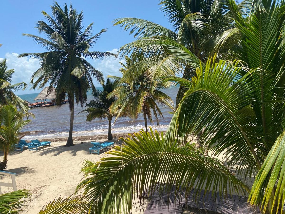 Tranquility Beach Suites Placencia エクステリア 写真
