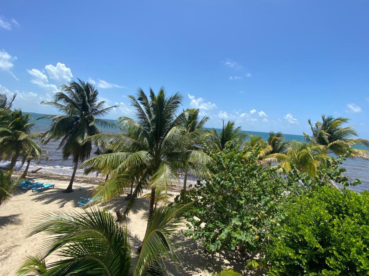 Tranquility Beach Suites Placencia エクステリア 写真