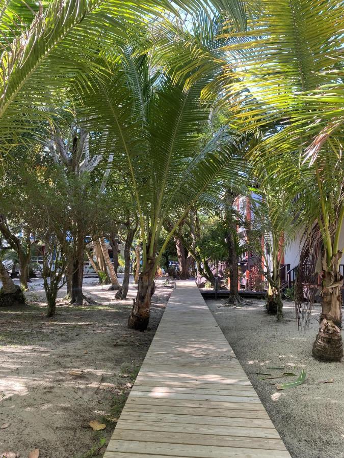 Tranquility Beach Suites Placencia 部屋 写真